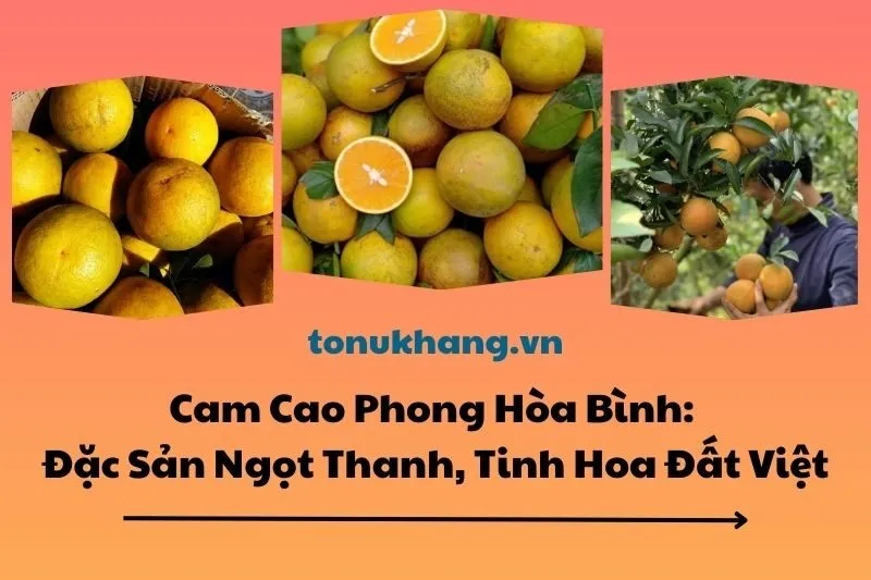 Cam Cao Phong Hòa Bình; Đặc Sản Ngọt Thanh, Tinh Hoa Đất Việt 2025