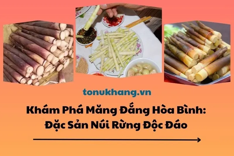 Khám Phá Măng Đắng Hòa Bình: Đặc Sản Núi Rừng Độc Đáo 2025
